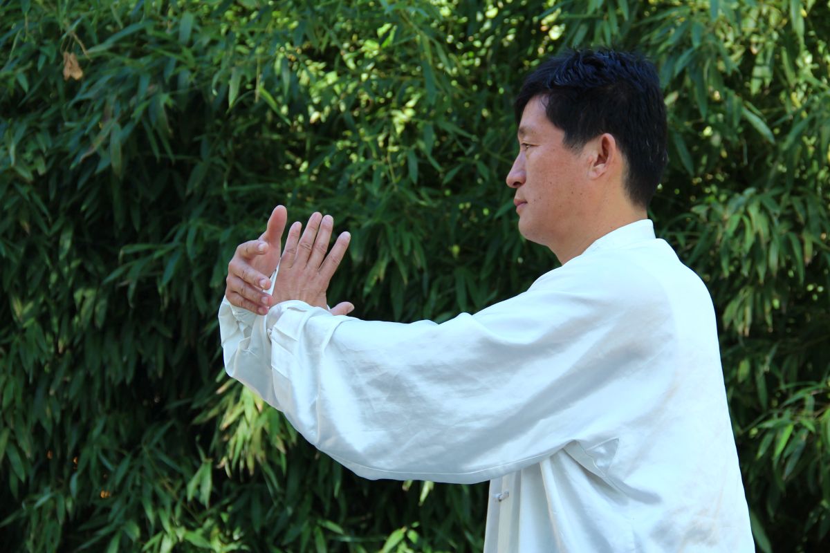 拳架4